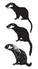 Wall Mural - Ferrets silhouette isolated in White background