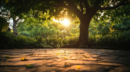 Sticker - Empty stone floor beneath a tree, surrounded by lush greenery and bathed in warm sunset light, creating a serene atmosphere with ample copy space for text.