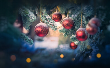 Poster - Red Christmas ornaments hang from a snowy evergreen tree branch with a blurry background of twinkling lights.