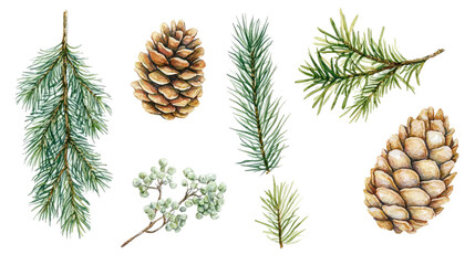 Poster - Hand-drawn Style Watercolor Pine Cones and Branches Collection Generative AI