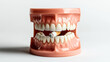 © Alfazet Chronicles - Dental model with plastic teeth holding a lit cigarette between its upper and lower jaws on a plain background.