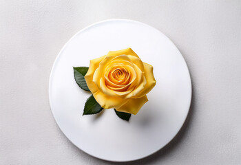 Wall Mural - A single yellow rose with two green leaves sits on a plain white plate.