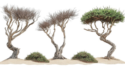Poster - Unique Rain Trees on a Clear Background Generative AI