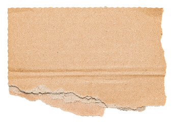 Poster - Isolated cut out torn piece of brown corrugated cardboard with texture and copy space for text, transparent png background design element
