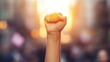 © h4kunA - A single fist raised in the air in a crowd of people with the setting sun behind it.