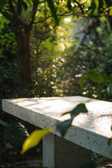 Poster - A bird perches on a concrete bench amidst lush woods, a serene scene