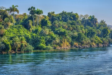 Poster - A serene lake surrounded by dense foliage