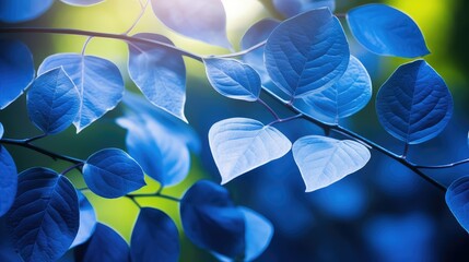 Wall Mural - sunlight leaves blue