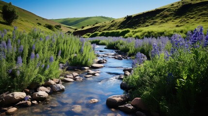 Poster - landscape blue sage