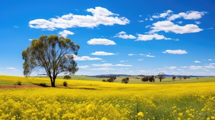 Canvas Print - wildflowers australia spring