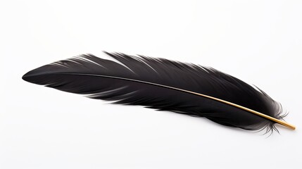 Poster - Black feather with a glossy finish resting on a simple white background