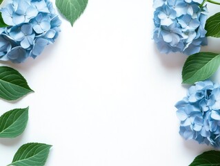 Blue flowers on white