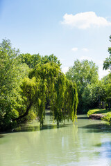 Wall Mural - Sile River Natural Park