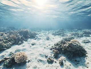 Wall Mural - barren coral reef showcasing the impact of global warming on marine ecosystems