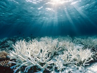 Wall Mural - bleached and lifeless coral reef showcasing the impact of global warming on marine ecosystems