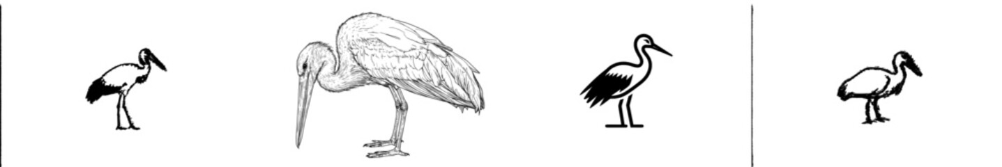 Poster - Animated egret bird line art illustration modern art