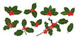 © Анастасия Жадан - Christmas holly berry flat set. Green leaves and red berries isolated on white background. Elements suitable for decorative Christmas festival, New year invitations, greeting cards.