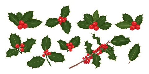 christmas holly berry flat set. green leaves and red berries isolated on white background. elements 