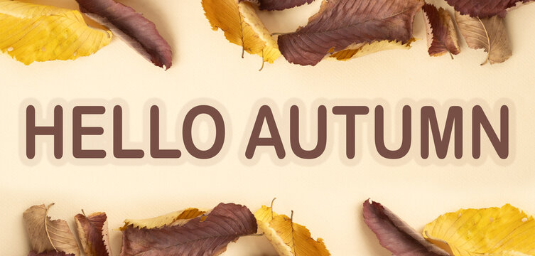 Hello autumn text effect banner headline