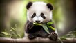 © Suphawan - Playful baby panda sitting with a piece of bamboo in its mouth, surrounded by greenery, showcasing its adorable eating habits.