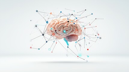 Poster - High-quality, white background stock photo of a human brain with interconnected lines and digital nodes symbolizing cognitive processing and neural connectivity.