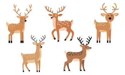  A set of deer with antlers. On a white background.