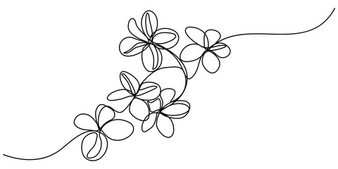 Plumeria flowers in continuous line art drawing style. Minimalist black line sketch on white background, Plumeria flowers in continuous one  line art drawing. Frangipani blossom. Vector illustration.