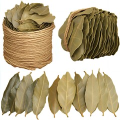 Wall Mural - Dried bay leaves tied with twine.