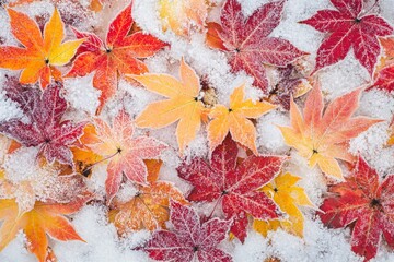 Wall Mural - Frost-covered orange leaves glisten in the cold morning light of a serene winter landscape