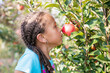 © Anya Brewley Schultheiss/Stocksy - Pretty kindergartener smelling a ripe red apple still on the tree.