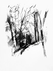 Leinwandbilder - A detailed black ink sketch illustrates a dense forest with intricate trees and deep shadows, capturing a tranquil nature scene. Generative AI