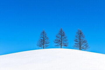 The soft pure white winter snow blue sky abstract background is fresh and pure