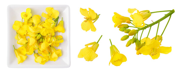 Wall Mural - Rapeseed flowers in ceramic bowl isolated on white background, Top view. Flat lay