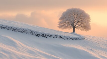 Leinwandbilder - A lone tree stands on a snow-blanketed hillside alongside a stone wall, illuminated by the soft light of sunset, capturing peaceful winter beauty.