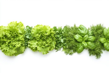 Poster - A vibrant assortment of freshly picked lettuce, dill, and basil is beautifully arranged on a white surface, ready for use in cooking. Generative AI