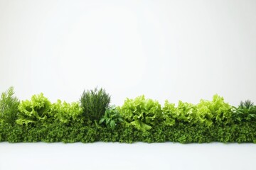 Poster - Fresh lettuce blends with dill and basil, creating a vibrant display against a clean, light background perfect for culinary inspiration. Generative AI