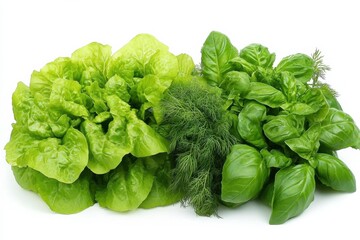 Poster - Vibrant green lettuce, fragrant dill, and aromatic basil freshly harvested are arranged beautifully, perfect for enhancing any dish. Generative AI