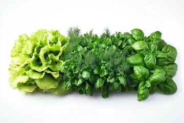 Poster - A vibrant collection of fresh lettuce, dill, and basil neatly arranged, showcasing their colors and textures for cooking. Generative AI