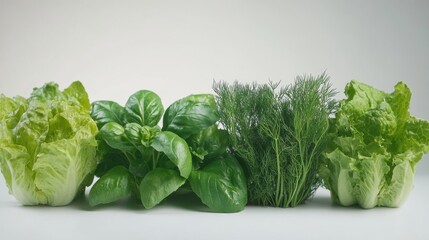 Poster - An array of fresh lettuce, vibrant dill, and aromatic basil showcasing garden-fresh produce on a clean surface. Generative AI