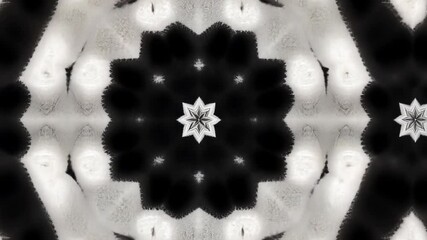 Poster - Intricate black and white floral pattern with symmetrical design and delicate details