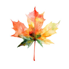 Wall Mural - autumn maple leaf watercolor art, cut out transparent
