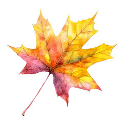 Wall Mural - vibrant autumn leaves in warm hues and colors, cut out transparent