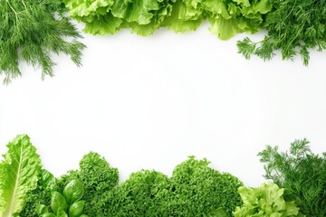 Poster - A variety of fresh lettuce, dill, and basil are arranged neatly, showcasing their rich green colors against a light backdrop. Generative AI