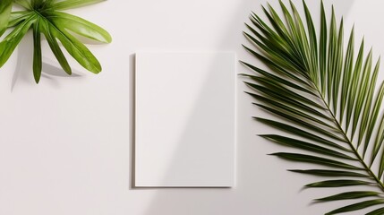 Blank A4 white paper template with smooth, soft shadows cast on a white surface, elegant and minimal, perfect for note or document mockup