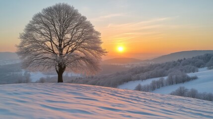 Poster - A tranquil winter sunset casts a warm glow over a snowy landscape, highlighting a solitary tree against the colorful sky at dusk.