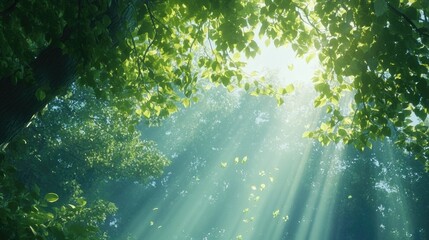 Poster - Bright green leaves above with sunlight filtering through, creating a serene, natural canopy