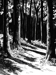 Leinwandbilder - The artwork captures a dense forest with intricate tree details, shadows, and a winding path inviting exploration in a serene setting. Generative AI