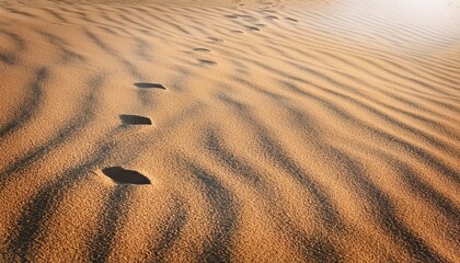 Canvas Print - Footprints in the sand dunes