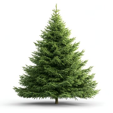 Cartoonish Christmas Scots Pine Tree