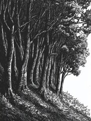 Leinwandbilder - A dense forest features detailed trees and shadows, creating a mesmerizing look into the tranquility of nature’s beauty. Generative AI